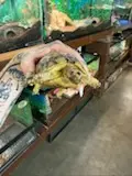 Img 6684