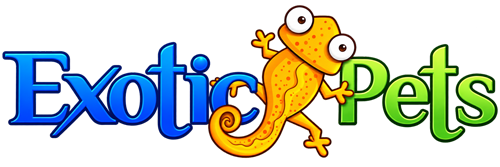 Company Header Logo
